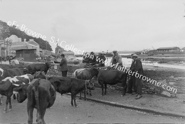 FAIR:ON THE HARBOUR WALL